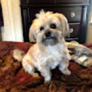 Meet your Posher, Natasha